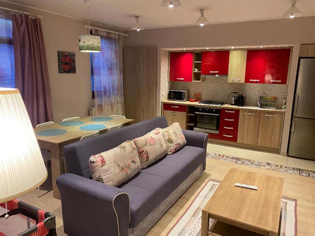 Apartmán Igi Red Flat With Free Private Parking Kluž Exteriér fotografie